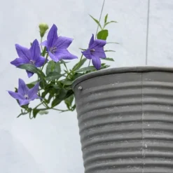 Hanging Aged Ribbed Planter -Deals Green4Ever Store pr2000031414 card3 lg