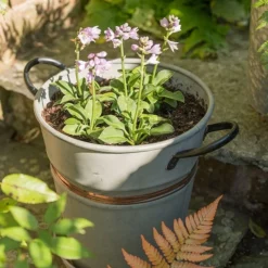 Planter With Copper Belt And Tray -Deals Green4Ever Store pr2000031454 card3 lg