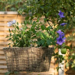 Deals Green4Ever Store 16 Rectangular Net Hanging Basket