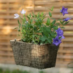 Rectangular Net Hanging Basket -Deals Green4Ever Store pr2000031461 card3 lg