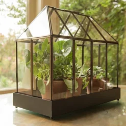 New Release -Deals Green4Ever Store pr2000031475 card2 lg