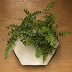 Enamelled Geo Metal Plant Tray -Deals Green4Ever Store pr2000031479 card4 lg