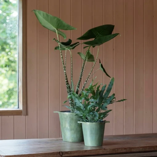 Cast Aluminium Pot Cover With Verdigris Patina -Deals Green4Ever Store pr2000031480