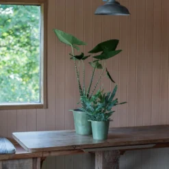 Cast Aluminium Pot Cover With Verdigris Patina 13 Cast Aluminium Pot Cover With Verdigris Patina -Deals Green4Ever Store pr2000031480 card5 lg