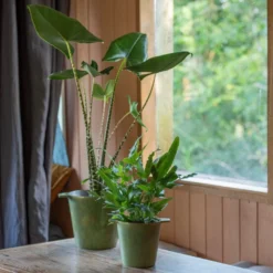 Cast Aluminium Pot Cover With Verdigris Patina 14 Cast Aluminium Pot Cover With Verdigris Patina -Deals Green4Ever Store pr2000031480 card6 lg