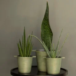 Cast Aluminium Pot Cover With Verdigris Patina 16 Cast Aluminium Pot Cover With Verdigris Patina -Deals Green4Ever Store pr2000031480 card8 lg