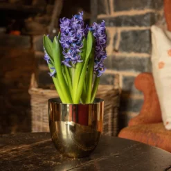 Polished Brass Pot Cover -Deals Green4Ever Store pr2000031483 card3 lg