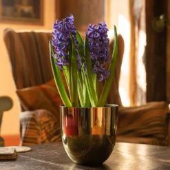 Polished Brass Pot Cover -Deals Green4Ever Store pr2000031483 card4 lg