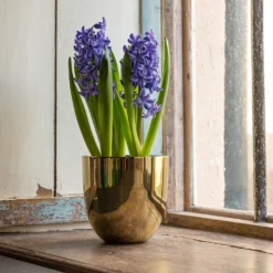 Polished Brass Pot Cover -Deals Green4Ever Store pr2000031483 card5 lg