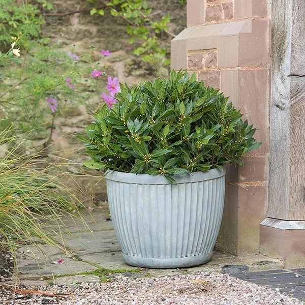 Zinc Dolly Pot 2 Zinc Dolly Pot - Image 2