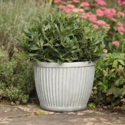 Zinc Dolly Pot 11 Zinc Dolly Pot -Deals Green4Ever Store pr2000031492 card4 lg