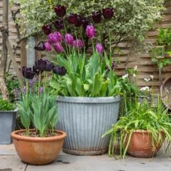 Zinc Dolly Pot 12 Zinc Dolly Pot -Deals Green4Ever Store pr2000031492 card5 lg