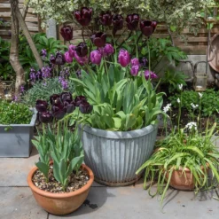 Zinc Dolly Pot 14 Zinc Dolly Pot -Deals Green4Ever Store pr2000031492 card7 lg