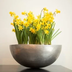 Sphere Plant Bowl 13 Sphere Plant Bowl -Deals Green4Ever Store pr2000031495 card6 lg