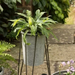 Tall Galvanised Planter With Stand -Deals Green4Ever Store pr2000031504 card4 lg