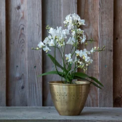 Solid Etched Brass Pot Cover -Deals Green4Ever Store pr2000031507 card5 lg