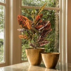 Solid Etched Brass Pot Cover -Deals Green4Ever Store pr2000031507 card8 lg