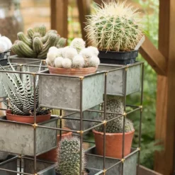 Plant Tower -Deals Green4Ever Store pr2000033922 card5 lg