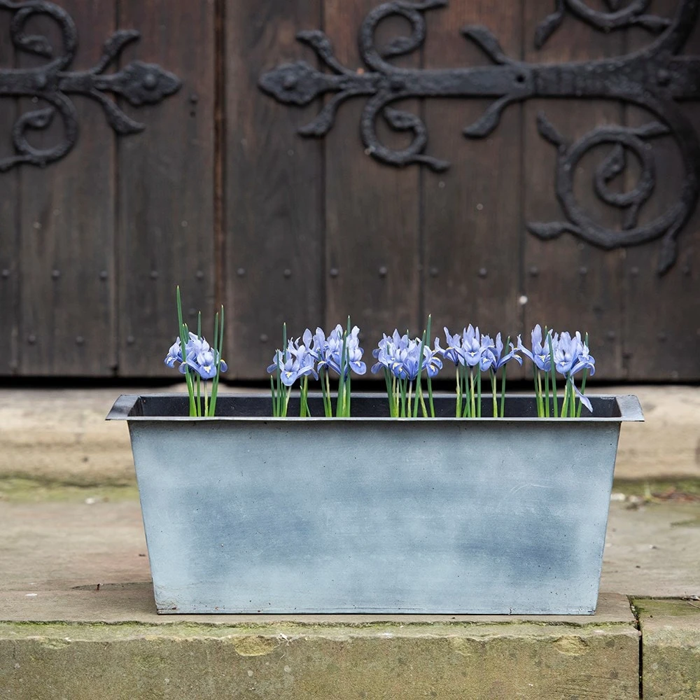 Plant Trough - Aged Zinc 7 Plant Trough - Aged Zinc - Image 7
