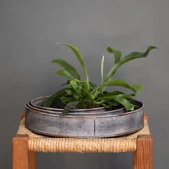 Pot Trays Aged Zinc - Set Of 3 -Deals Green4Ever Store pr2000033959 card3 lg