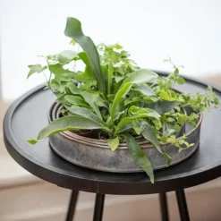 Pot Trays Aged Zinc - Set Of 3 -Deals Green4Ever Store pr2000033959 card5 lg