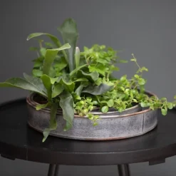 Pot Trays Aged Zinc - Set Of 3 -Deals Green4Ever Store pr2000033959 card6 lg