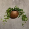 Hanging Gourd Bowl - Dark Rust