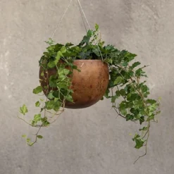 Hanging Gourd Bowl - Dark Rust -Deals Green4Ever Store pr2000033961 card2 lg