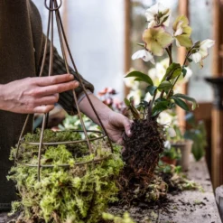 Hanging Tear Drop Basket - Slim -Deals Green4Ever Store pr2000033990 card2 lg