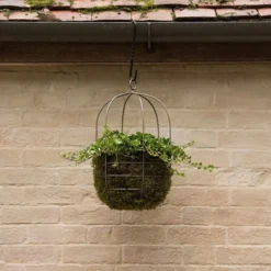 Hanging Plant Cage - Wide -Deals Green4Ever Store pr2000033991 card4 lg