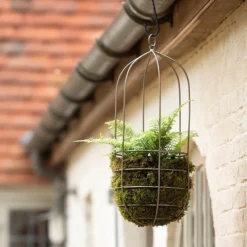 Hanging Plant Cage - Tall 6 Hanging Plant Cage - Tall -Deals Green4Ever Store pr2000033992 card3 lg