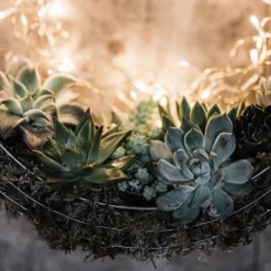 Hanging Wreath Basket -Deals Green4Ever Store pr2000033995 card3 lg