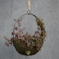 Hanging Wreath Basket -Deals Green4Ever Store pr2000033995 card8 lg