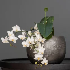 Zinc Bowls - Set Of 3 -Deals Green4Ever Store pr2000033999 card4 lg