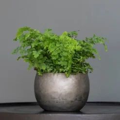 Zinc Bowls - Set Of 3 -Deals Green4Ever Store pr2000033999 card5 lg