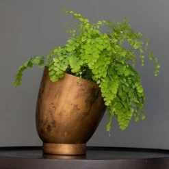 Tilting Pot - Brass -Deals Green4Ever Store pr2000034009 card4 lg
