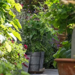 Planter With Surround Support -Deals Green4Ever Store pr2000034024 card4 lg