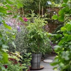 Planter With Surround Support -Deals Green4Ever Store pr2000034024 card6 lg