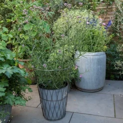 Planter In Lattice Basket Surround -Deals Green4Ever Store pr2000034026 card5 lg