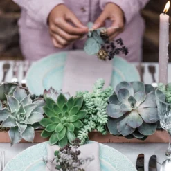 Brushed Copper Tray -Deals Green4Ever Store pr2000034036 card3 lg