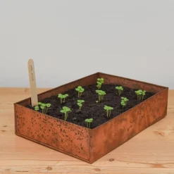 Brushed Copper Seed Tray -Deals Green4Ever Store pr2000034042 card5 lg