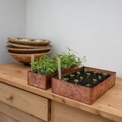 Brushed Copper Seed Tray -Deals Green4Ever Store pr2000034042 card7 lg