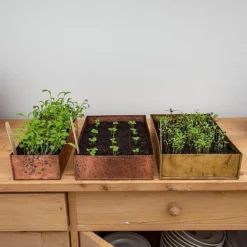 Brushed Copper Seed Tray -Deals Green4Ever Store pr2000034042 card9 lg