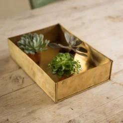 Brushed Brass Seed Tray -Deals Green4Ever Store pr2000034043 card6 lg
