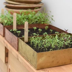 Brushed Brass Seed Tray -Deals Green4Ever Store pr2000034043 card9 lg