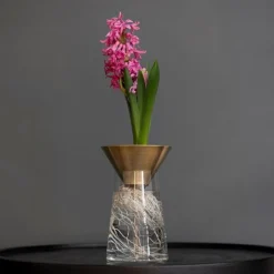 Brass Cone Hyacinth Vase -Deals Green4Ever Store pr2000034055 card2 lg