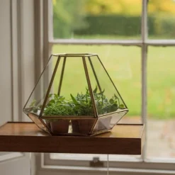 Terrarium With Brass Base Tray -Deals Green4Ever Store pr2000034059 card3 lg