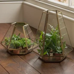 Terrarium With Brass Base Tray -Deals Green4Ever Store pr2000034059 card6 lg