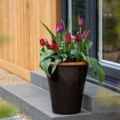 Glazed Terracotta Pot - Black -Deals Green4Ever Store pr2000034127 card11 lg