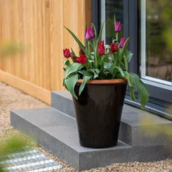 Glazed Terracotta Pot - Black -Deals Green4Ever Store pr2000034127 card3 lg